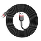 Baseus 2m 2A Max USB to USB-C / Type-C Data Sync Charge Cable(Red+Black) - 1