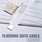 WK WDC-066a 2.1A Type-C / USB-C Flushing Charging Data Cable, Length: 2m(White) - 4
