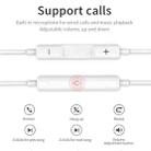 hoco L10 Acoustic Type-C Wired Earphones with Mic(White) - 3