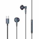 WK SHQ Series YC03 USB-C / Type-C Music Wired Earphone(Tarnish) - 1