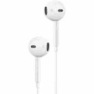 WIWU Earbuds 303 USB-C / Type-C Interface Wired Wire-controlled Earphone - 2