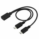 USB-C / Type-C Female to 2 x Micro USB Male Adapter Y Cable, Total Length: about 30cm - 1
