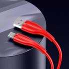 USAMS US-SJ376 U38 USB to USB / Type-C 5A Data and Charging Cable,Cable Length: 1m(Red) - 1