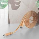 ROCK S1 5V / 2.4A USB-C / Type-C Charging + Data Synchronization TPE Flat Shape Data Cable, Cable Length: 1m(Orange) - 1