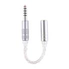 ZS0021 4.4mm Male to 3.5mm Female Balance Adapter Cable (Silver) - 1