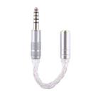 ZS0021 4.4mm Male to 2.5mm Female Balance Adapter Cable (Silver) - 1
