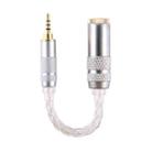 ZS0021 2.5mm Male to 4.4mm Female Balance Adapter Cable (Silver) - 1