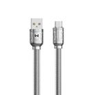 WK WDC-177 6A USB to USB-C/Type-C Platinum Fast Charge Data Cable,Length 1m (Silver) - 1