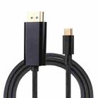 TD001 8K 60Hz USB-C/Type-C to DP Video Adapter Cable(Black) - 1