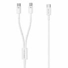 WK WDC-176 100W 2 in 1 USB-C/Type-C to USB-C/Type-C+8 Pin Multifunctional Fast Charging Data Cable,Length: 1.2m - 1