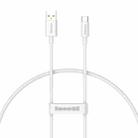 Baseus P10320102214-00 100W USB to USB-C / Type-C Fast Charging Data Cable, Length: 0.25m (White) - 1
