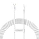 Baseus P10320102214-03 100W USB to USB-C / Type-C Fast Charging Data Cable, Length: 2m(White) - 1