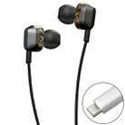 WK Y9 Type-C Interface In-Ear Double Moving Coil HIFI Stereo Wired Earphone (Black) - 1