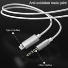 WK Y9 Type-C Interface In-Ear Double Moving Coil HIFI Stereo Wired Earphone (White) - 7