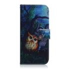 Oil Painting Owl Pattern Coloured Drawing Horizontal Flip Leather Case for Galaxy S10 Plus, with Holder & Card Slots & Wallet - 2