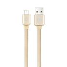 Meizu 1.2m 2A Noodle Weave Style Metal Head USB-C / Type-C  to USB 2.0 Data Sync Charging Cable(Gold) - 1