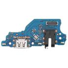 For OPPO Realme C20 / Realme C21 Charging Port Board - 1