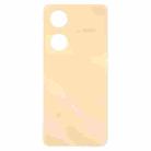 For vivo Y100 Original Battery Back Cover(Orange) - 2