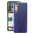 For Realme 6s OEM Back Cover(Blue) - 1