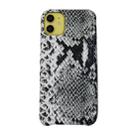 For iPhone 11 Snake Skin Pattern PU+PVC Material Shockproof Mobile Protective Case(Grey) - 1