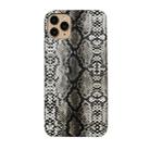 For iPhone 11 Pro Snake Skin Pattern PU+PVC Material Shockproof Mobile Protective Case(Grey) - 1
