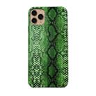 For iPhone 11 Pro Max Snake Skin Pattern PU+PVC Material Shockproof Mobile Protective Case(Grass Cyan) - 1