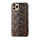 For iPhone 11 Pro Max Snake Skin Pattern PU+PVC Material Shockproof Mobile Protective Case(Light Brown) - 1