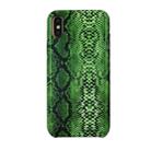 For iPhone X/XS Snake Skin Pattern PU+PVC Material Shockproof Mobile Protective Case(Grass Cyan) - 1