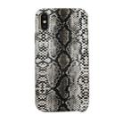 For iPhone XS Max Snake Skin Pattern PU+PVC Material Shockproof Mobile Protective Case(Light Grey) - 1