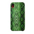 For iPhone XR Snake Skin Pattern PU+PVC Material Shockproof Mobile Protective Case(Grass Cyan) - 1