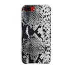 For iPhone 8Plus / 7Plus Snake Skin Pattern PU+PVC Material Shockproof Mobile Protective Case(Grey) - 1