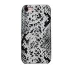 For iPhone 8 / 7 Snake Skin Pattern PU+PVC Material Shockproof Mobile Protective Case(Grey) - 1