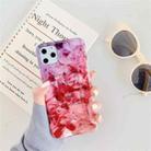 For iPhone 12 Pro Max TPU Smooth Marbled IMD Mobile Phone Case(Purple Stone F11) - 1