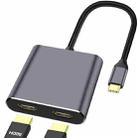 ZS-SGSHDMI USB-C / Type-C to Dual HDMI Adapter - 1
