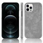 For iPhone 12 / 12 Pro Shockproof Litchi Texture PC + PU Case(Gray) - 1