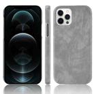 For iPhone 12 Pro Max Shockproof Litchi Texture PC + PU Case(Gray) - 1