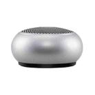 EWA A110 IPX5 Waterproof Portable Mini Metal Wireless Bluetooth Speaker Supports 3.5mm Audio & 32GB TF Card & Calls(Silver) - 1