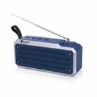 NewRixing NR4018FM TWS Portable Stereo Bluetooth Speaker, Support TF Card / FM / 3.5mm AUX / U Disk / Hands-free Call(Blue) - 1