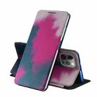 For iPhone 11 Pro Voltage Watercolor Pattern Skin Feel Magnetic Horizontal Flip PU Leather Case with Holder(Berry) - 1