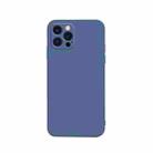 For iPhone 13 Pro Max Solid Color Cube Straight Edge Liquid Silicone Lining Flannel Case  (Blue) - 1