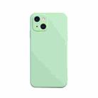 For iPhone 13 Solid Color Cube Straight Edge Liquid Silicone Lining Flannel Case (Green) - 1