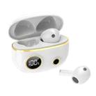 PRO100 TWS Bluetooth 5.2 Noise Canceling Waterproof Earphones 9D Stereo Sports Headphone with Charging Case(White) - 2