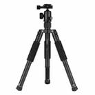 YUNTENG VCT-190 Aluminum Tripod Mount Monopod with Ball Head - 1