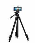 YUNTENG VCT-618 Aluminum Tripod Mount with Damping Head - 1