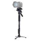 YUNTENG VCT-288 Tripod Mount Monopod with Fluid Drag Head - 1