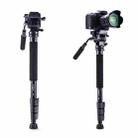 YUNTENG VCT-558 Camera Monopod + Fluid Pan Head + Unipod Holder - 1