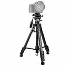 YUNTENG VCT-80 Aluminum Tripod Mount with Damping Ballhead - 1