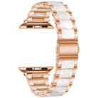 Metal + Resin Watch Band For Apple Watch Series 8&7 41mm / SE 2&6&SE&5&4 40mm / 3&2&1 38mm(Rose Gold White) - 1