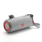 T&G TG537 RGB Light Portable Waterproof Bluetooth Speaker Supports FM / TF Card(Gray) - 1
