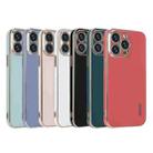 For iPhone 12 Pro ENKAY Plated Gold Edge TPU Case(Light Green) - 2